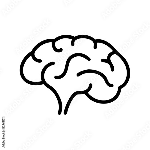 brain