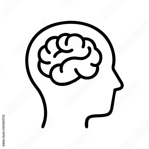brain