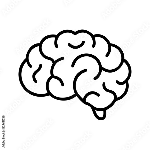 brain