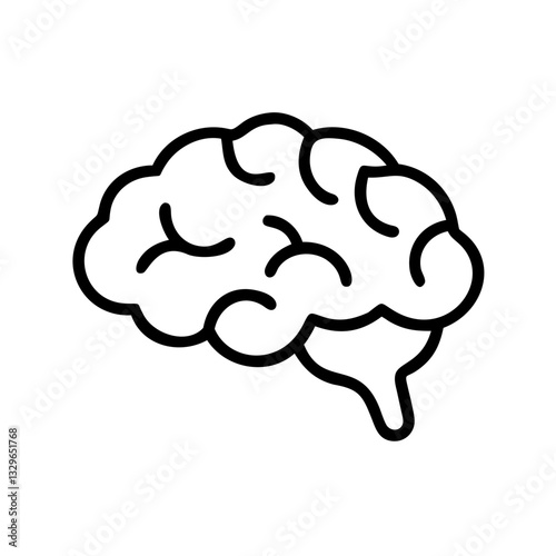 brain