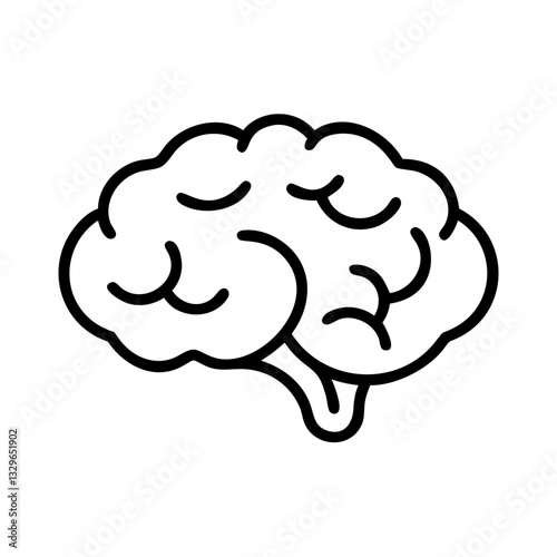 brain