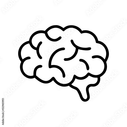 brain