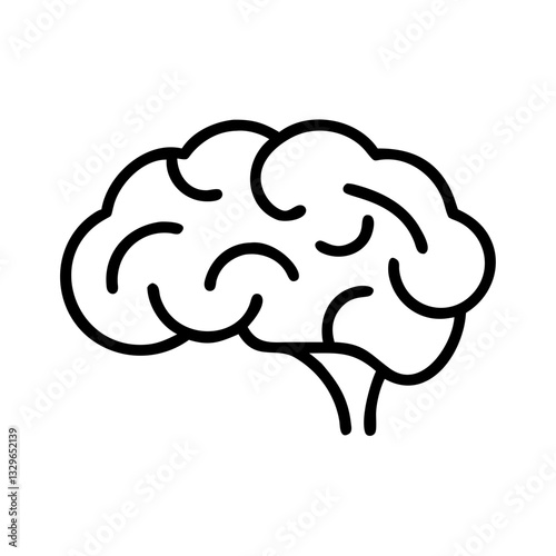 brain