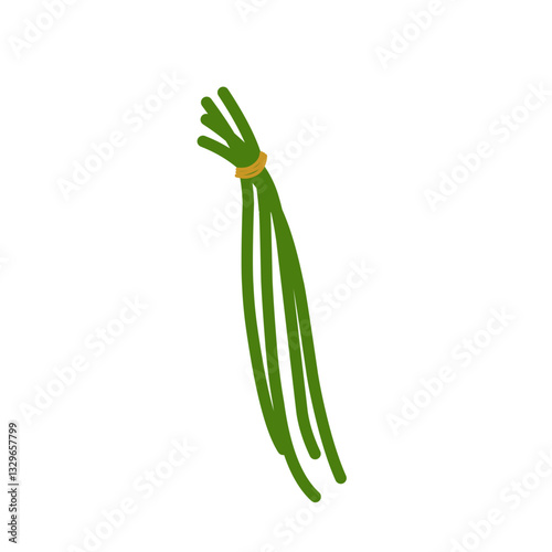 Illustration of green long beans 
