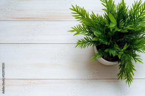 Green plant in white pot on wooden table, top view, copy space