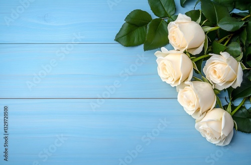 White roses on blue wood background, copy space (1)