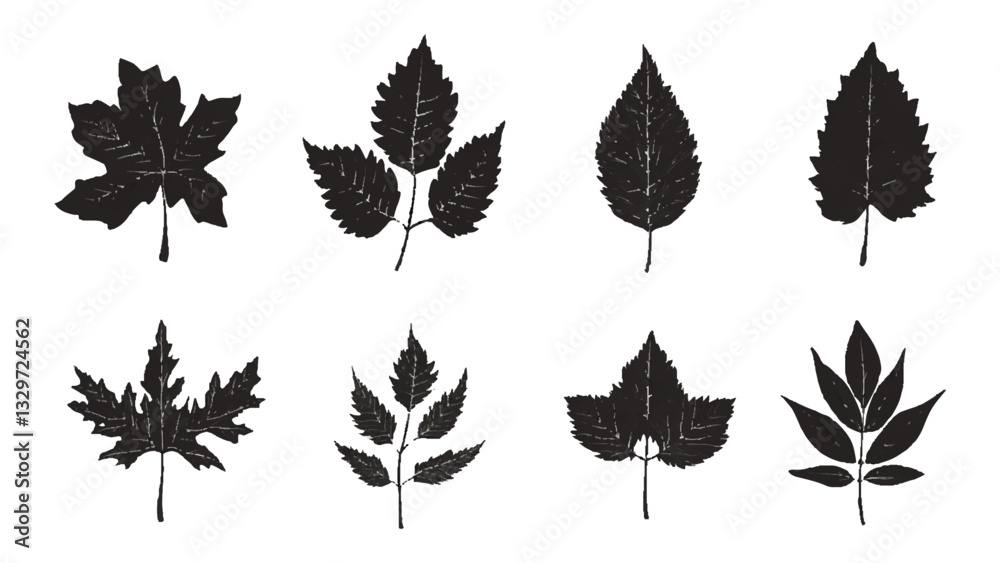 Fototapeta premium A collection black silhouettes of different types of leaves. Black different tree leaves isolated on white background. 