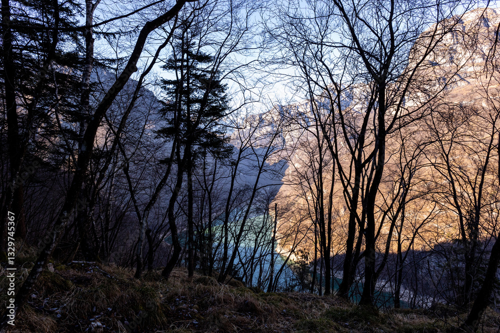 Natural Landscape: Trees with Sky in Background Natural Landscape: Trees with Sky in Background