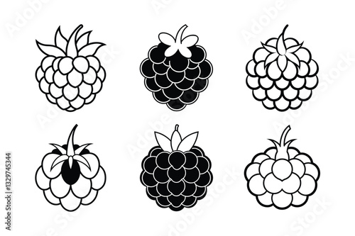Cloudberry – Rubus chamaemorus line art vector illustration