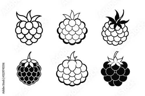 Cloudberry – Rubus chamaemorus line art vector illustration photo