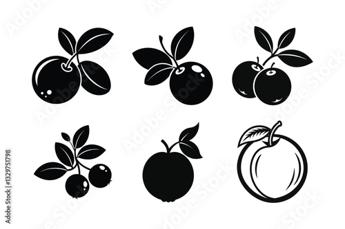 Cranberry – Vaccinium macrocarpon silhouette vector illustration