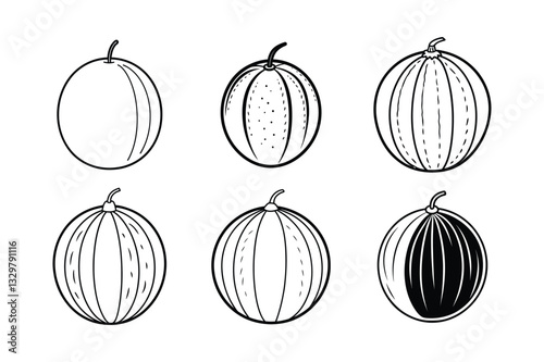 Crenshaw Melon – Cucumis melo var. crenshaw line art vector illustration