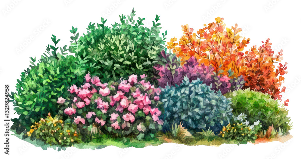 Fototapeta premium PNG Garden illustration watercolor colorful.