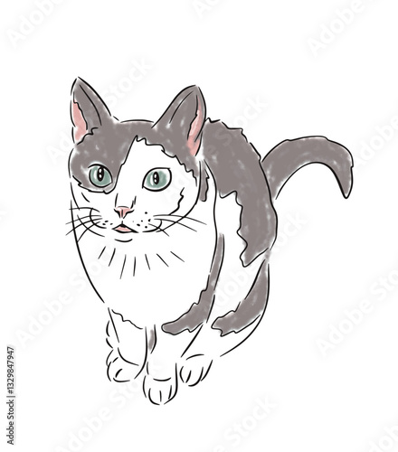 Playful gray and white cat with bright green eyes sits calmly. Vector illustration