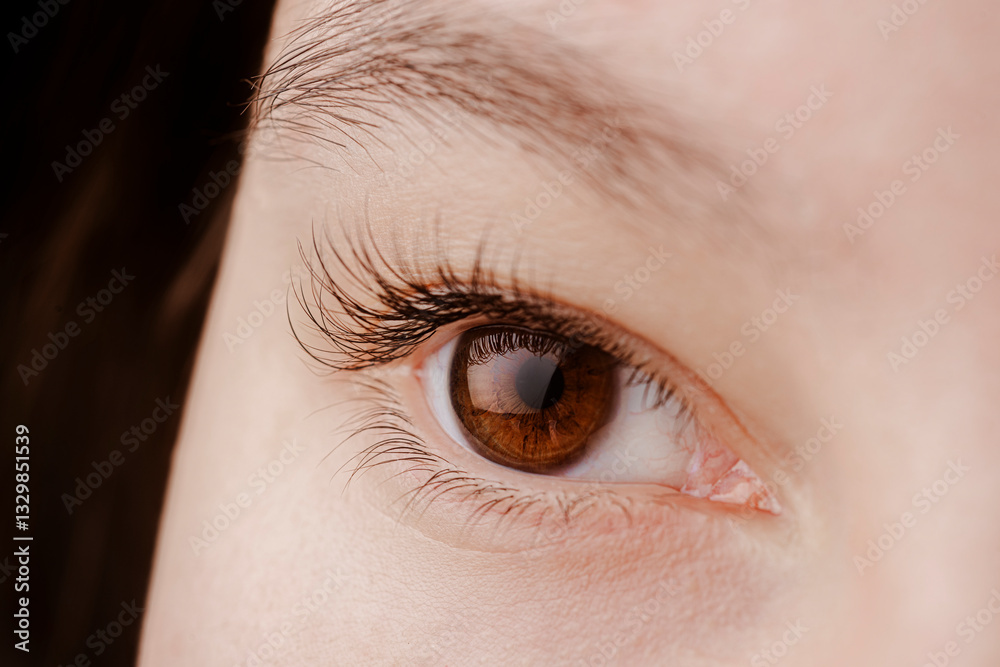 Obraz premium Brown eye closeup. Macro photo of dark brown female eye. Close up woman's eye. Lashes. Mascara for long lashes. Beauty concept.