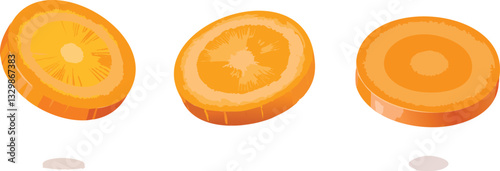 Carrot slices vector illustration collection