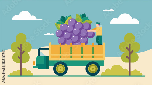 The gs carefully handpicked from the vine are transported to the distillery where they will begin their transformation into Pisco.. Vector illustration