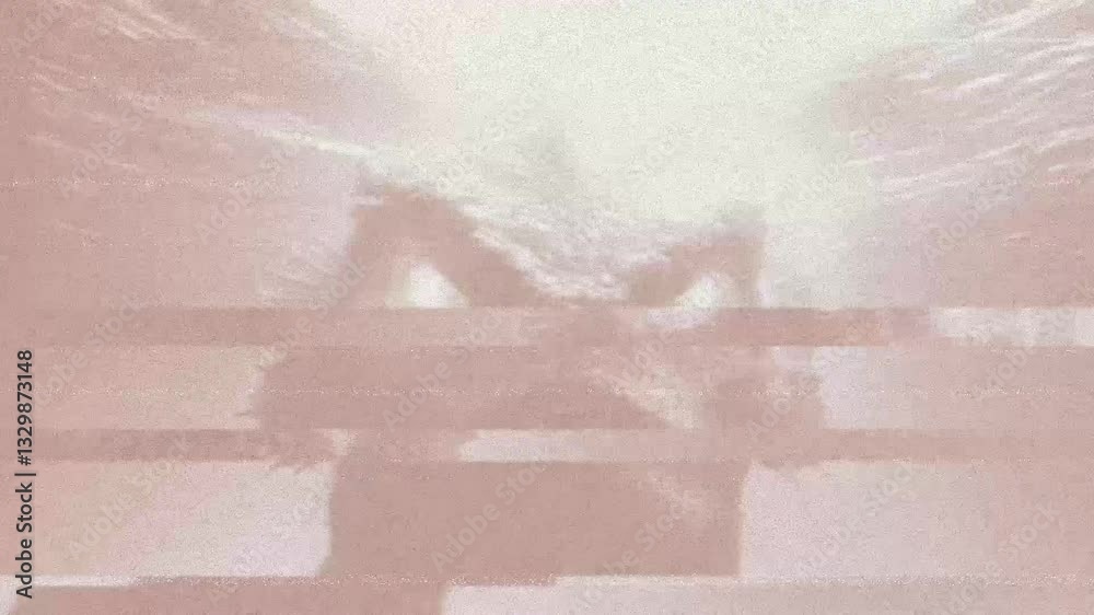 The Leviathan
