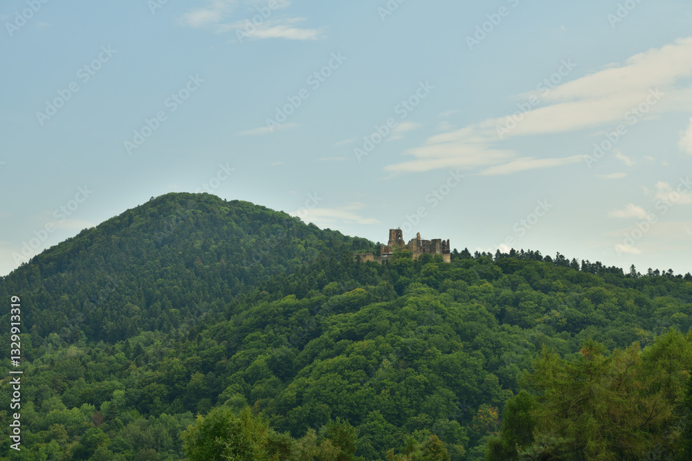 Old Zborov Castle ruins in Slovakia ruins in the green forest in the background