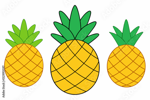 vector illustration of pineapple