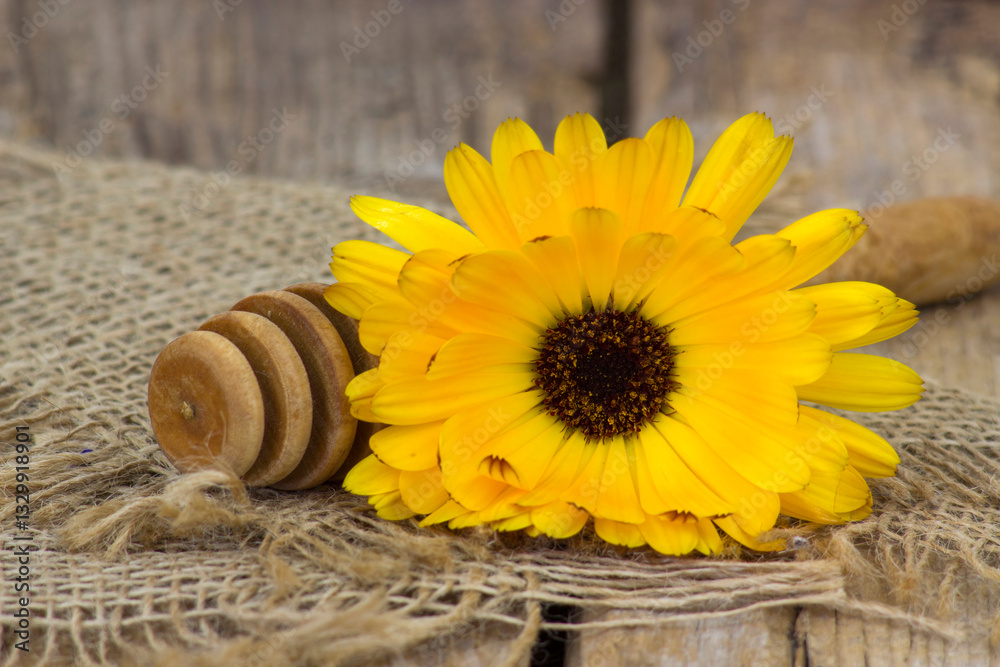 calendula flower on old wooden background