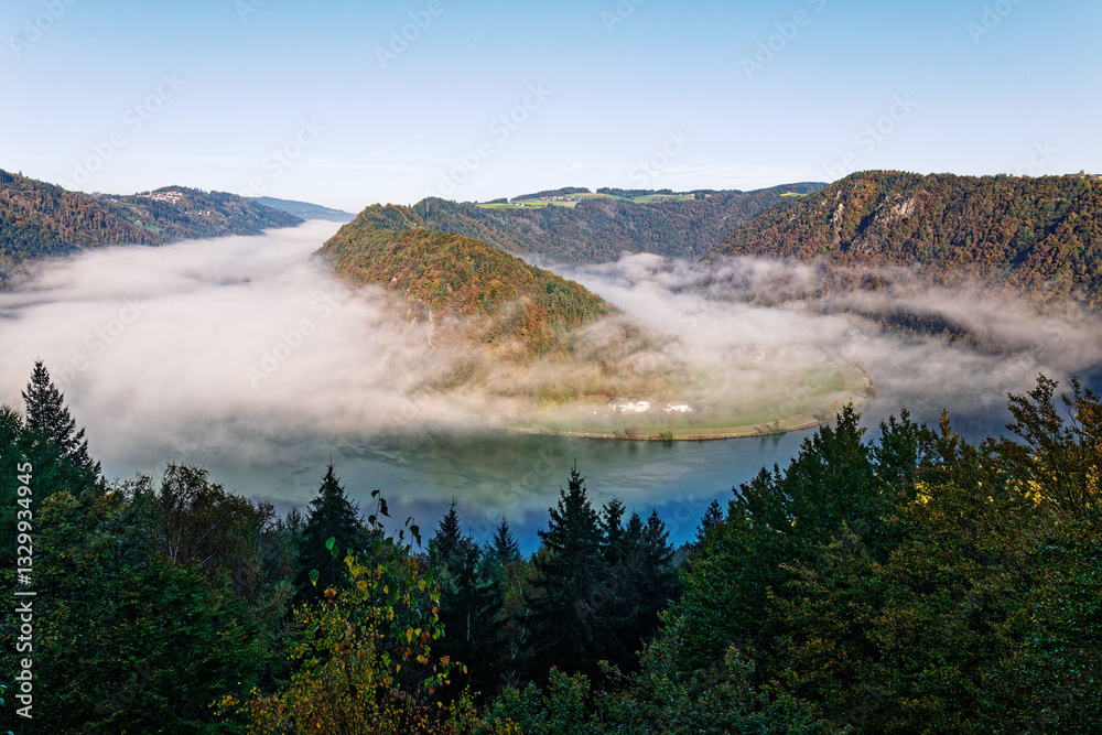 Donauschlinge in Oberösterreich