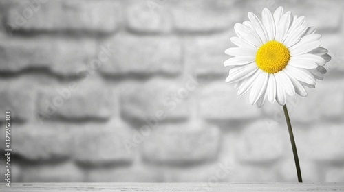  a single white daisy sitting atop a wooden table against a brick wall The daisy has a stem and is the focal point of the image, with the brick wall providing a sub photo