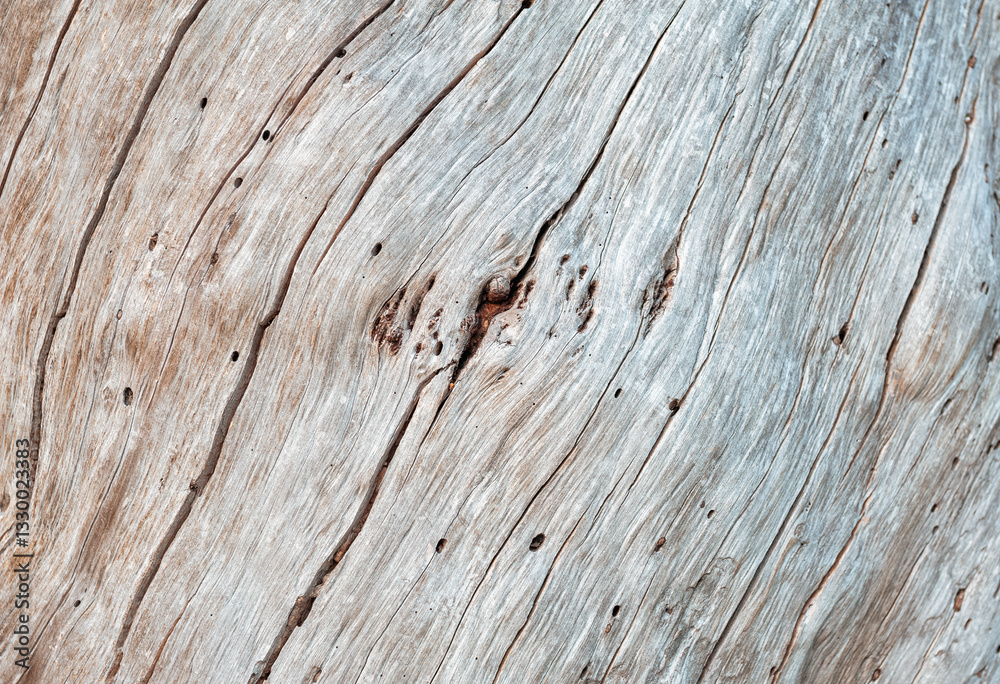Natural relief background of tree bark Natural relief background of tree bark