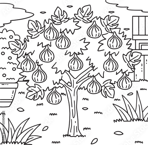 Fig Tree Fruit Plant Coloring Page for Kids 