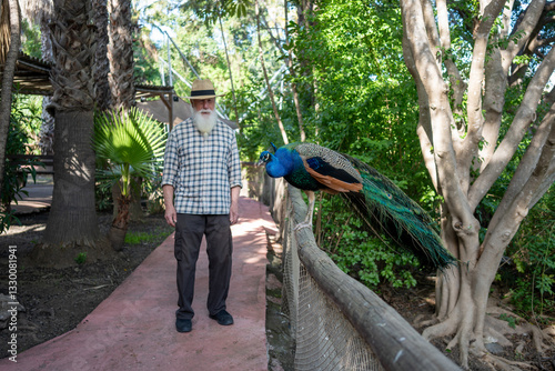 A peacock perched on a fence next to an elderly man, both admiring the tropical surroundings