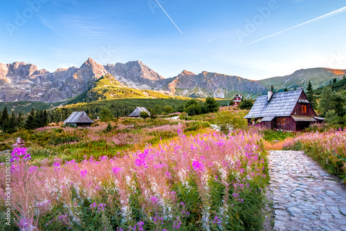 Fototapeta Naklejka Na Ścianę i Meble -  Hala Gasienicowa (Gasienicowa Valley), Tatra Mountains, Zakopane, Poland: Hiking Trail and Traditional Mountain Cottage.