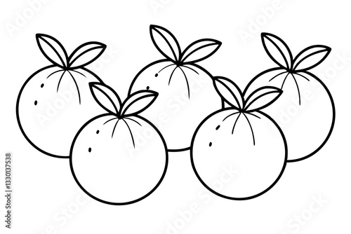 orange fruits set line art silhouette vector illustration