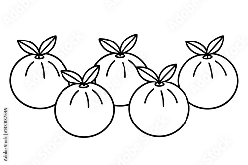 orange fruits set line art silhouette vector illustration