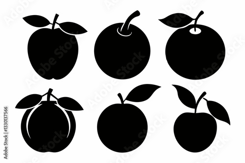 orange fruits set line art silhouette vector illustration