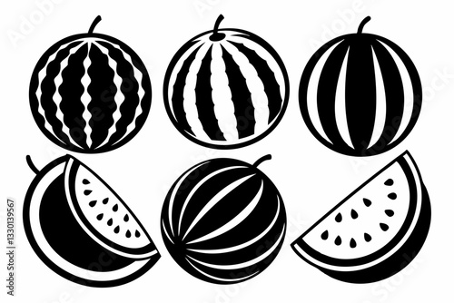 watermelon fruits set line art silhouette vector illustration