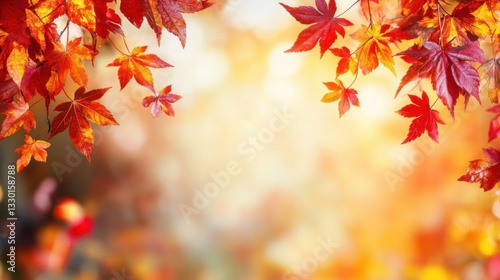 Bright orange and red maple leaves border with soft light. Autumn scene. Fall foliage branches hanging down. Natural fall leaf frame on sunny background.