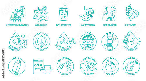Collagen line icon set. Connective tissue protein pictogram.