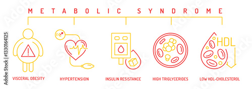 Metabolic syndrome icons. Health risk factors for cardiovascular disease.