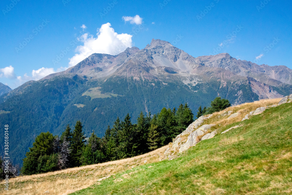 Fototapeta premium Summer view of the Cima Piazzi mountain photographed from the Valtellina pastures near Bormio