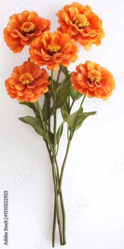 Bright Orange Flowers with Green Leaves on White Background