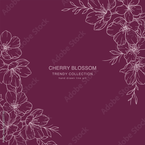 Cherry Blossom Line Art. Trendy floral branches and flowers. Botanical Line Art Sakura Collection. Hand drawn line art cherry blossom flowers. Luxury Line Floral Art. Cherry Blossom Outline