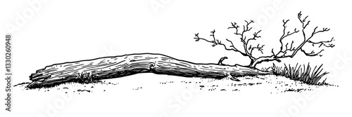 thick broken branch lying on the ground doodle sketch vector illustration