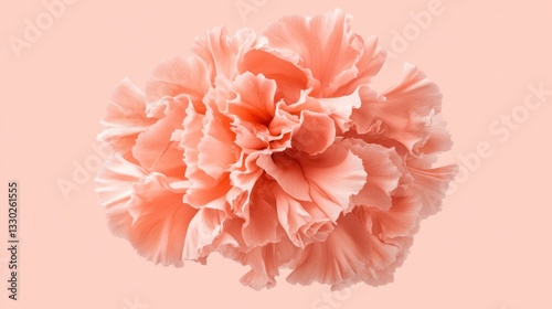 Peach flower blossom