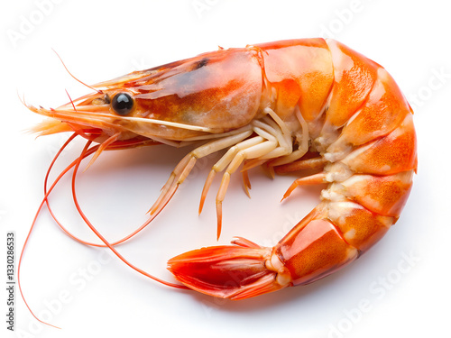 Wallpaper Mural Hyperrealistic Shrimp with Vibrant Orange Color and Detailed Texture on white Background Torontodigital.ca