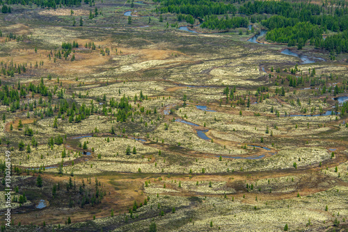 Obraz na plátne A top view of the river valley and forest with green larch trees creates a beautiful scene of northern nature
