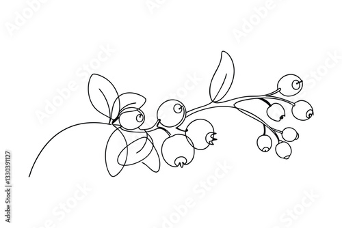 Single line drawing of blueberry branch with leaves and berries