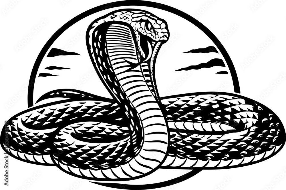 Naklejka premium snake vector illustration