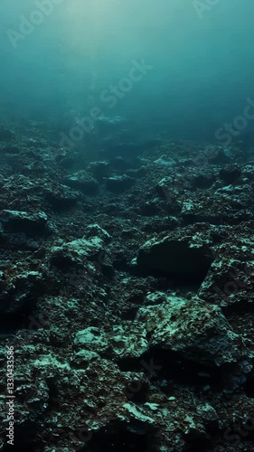 Wallpaper Mural Underwater landscape showcasing rocky seabed with marine life during daylight hours Torontodigital.ca