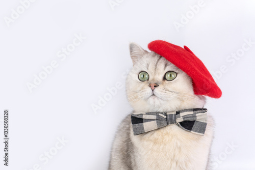 Charming grey cat wearing red beret and plaid bow tie against white background
