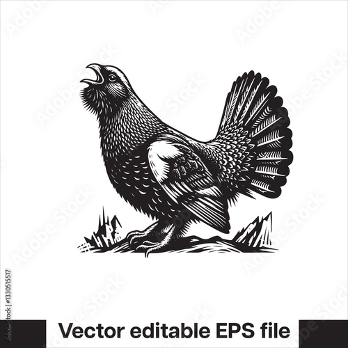 vector Western Capercaillie Game Bird